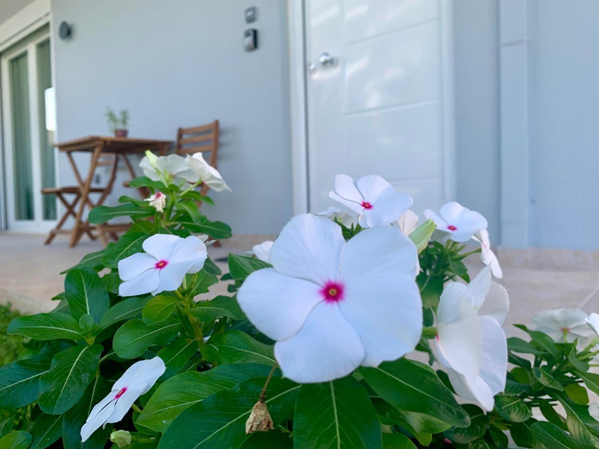 Apartamento Modern Mint Sunny House Near The Airport Spáta Exterior foto